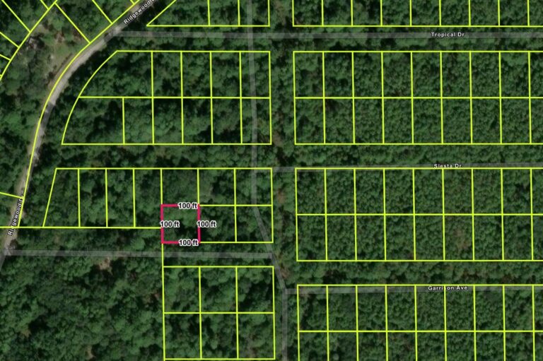 104 Bahama Ct, Georgetown, FL 32139
